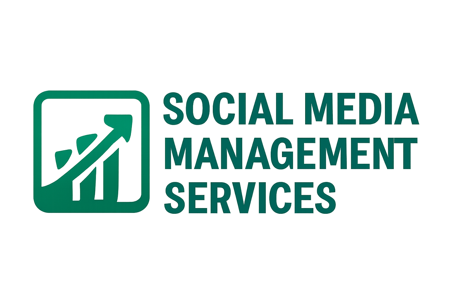 Social Media Management Services